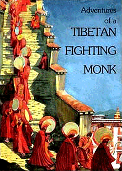 Adventures of a fighting monk